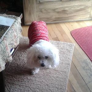 Meet your Posher, Sandra